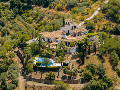 Finca for sale in Istan