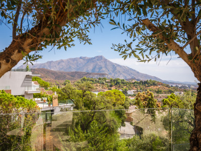 Villa à vendre à El Madroñal, Benahavis