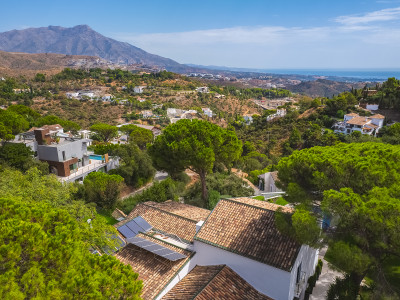 Villa à vendre à El Madroñal, Benahavis