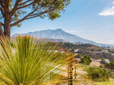 Villa à vendre à El Madroñal, Benahavis