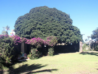 Villa en venta en Guadalmina Baja, San Pedro de Alcantara