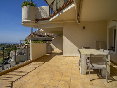 Apartamento Planta Baja en venta en Aloha Hill Club, Nueva Andalucia