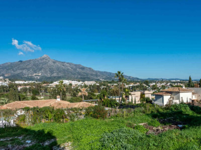 Terrain à vendre à Nueva Andalucia