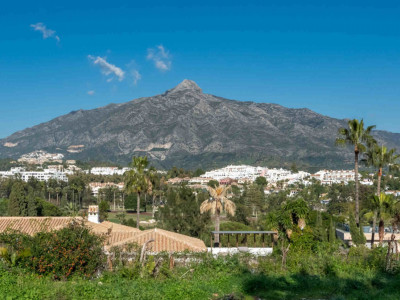 Terrain à vendre à Nueva Andalucia