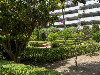 Wohnung zum Verkauf in Don Gonzalo, Marbella