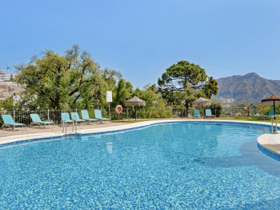 Penthouse for sale in Buenavista, Benahavis