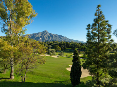 Villa for sale in Nueva Andalucia
