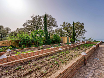 Finca à vendre à La Mairena, Marbella Est