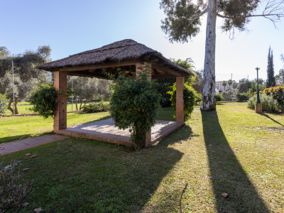 Wohnung zum Verkauf in Guadalmina Alta, San Pedro de Alcantara