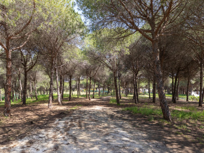 Duplex Penthouse à vendre à El Presidente, Estepona