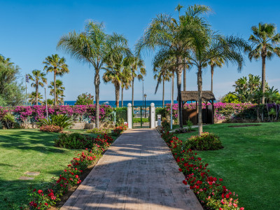 Wohnung zum Verkauf in Playa Rocio, Marbella - Puerto Banus