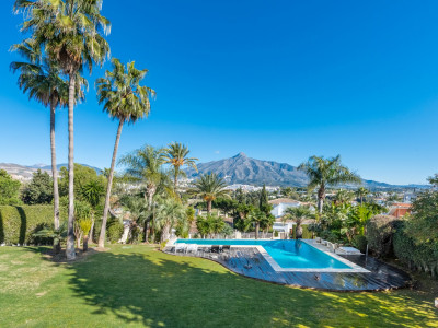 Villa for sale in Las Brisas, Nueva Andalucia