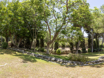 Villa zum Verkauf in Atalaya de Rio Verde, Nueva Andalucia