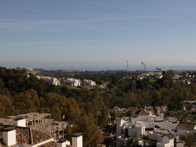 Wohnung zum Verkauf in 9 Lions Residences, Nueva Andalucia