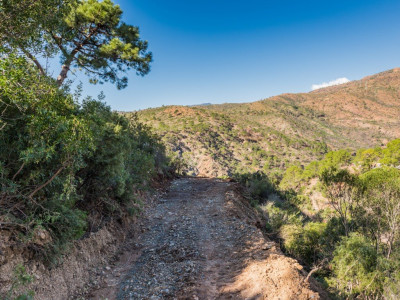 Parcela en venta en Monte Mayor, Benahavis