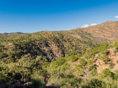 Parcela en venta en Monte Mayor, Benahavis