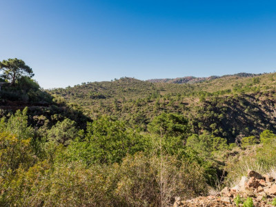 Parcela en venta en Monte Mayor, Benahavis