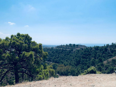 Plot for sale in El Madroñal, Benahavis