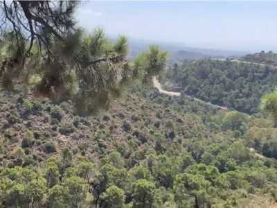 Plot for sale in El Madroñal, Benahavis