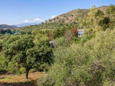 Земельный участок в продаже в Puerto del Almendro, Бенахавис