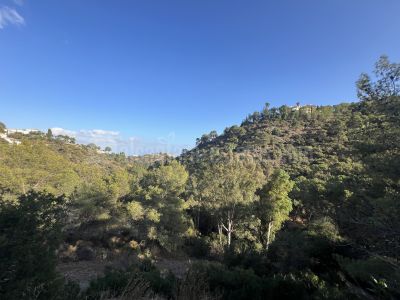 Parcela en El Madroñal, Benahavis