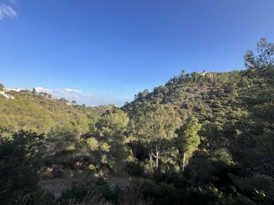 Plot in El Madroñal, Benahavis