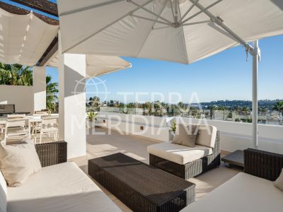 Duplex Penthouse in Las Tortugas de Aloha, Marbella