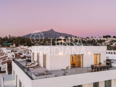 Penthouse in La Campana, Marbella