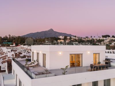 Penthouse in La Campana, Marbella