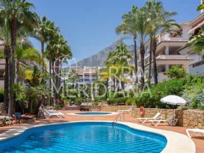 Apartment in Las Cañas Beach, Marbella