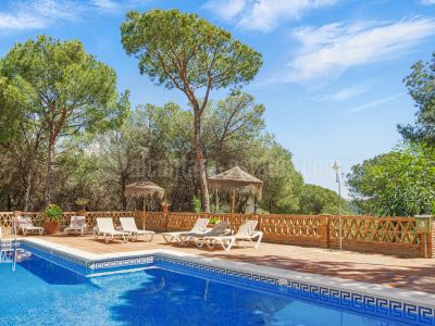 Duplex Penthouse in Los Pinos de Aloha, Marbella