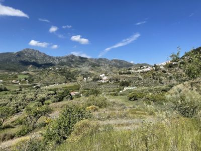 Plot in Carratraca