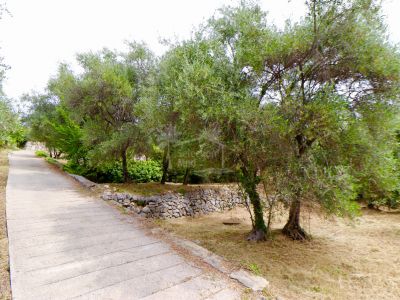 Parcela en Grasse