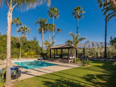 Villa in Nueva Andalucia, Marbella
