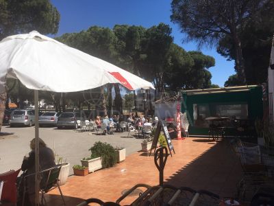 Commercial Premises in Benamara, Estepona