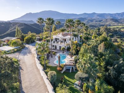 Villa in El Padron, Estepona