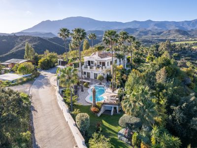 Villa in New Golden Mile, Estepona