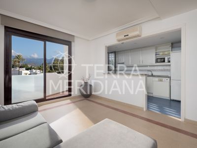 Apartment in La Maestranza, Marbella