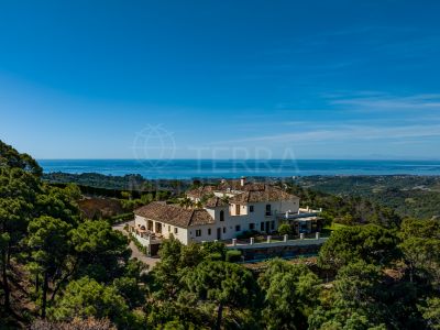 Country House in Estepona