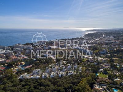 Development in Marbella Golden Mile, Marbella