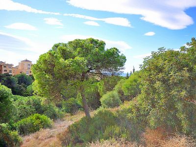 Parcela en Elviria, Parcela con orientación sureste-vistas al mar