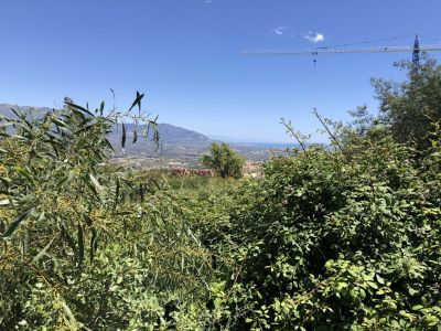 Exposed plot with a wonderful view