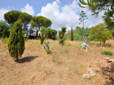 Parcela con vistas al mar en el corazón de Elviria
