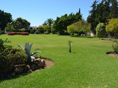 Unique beachside plot in Gudalmina Baja
