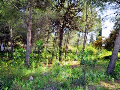 Fantastisches Grundstück zum Bau einer Villa in Cascada de Camóján