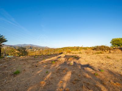 Residential Plot in Estepona