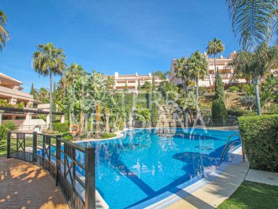 Apartment in Nueva Andalucia, Marbella