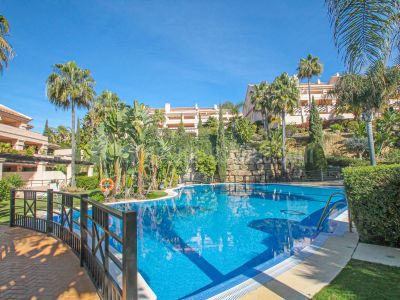 Apartment in Nueva Andalucia, Marbella