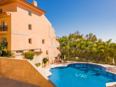 Apartamento muy amplio y luminoso, orientado al sur, con una muy bonita terraza en Vista Real, Nueva Andalucía, Marbella