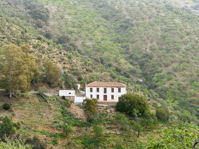 Finca Lagar de Tolosa: A Treasure in the Montes de Málaga